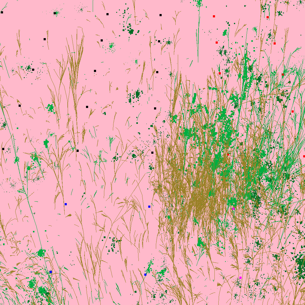 Infinite Garden: 13663 Flowers