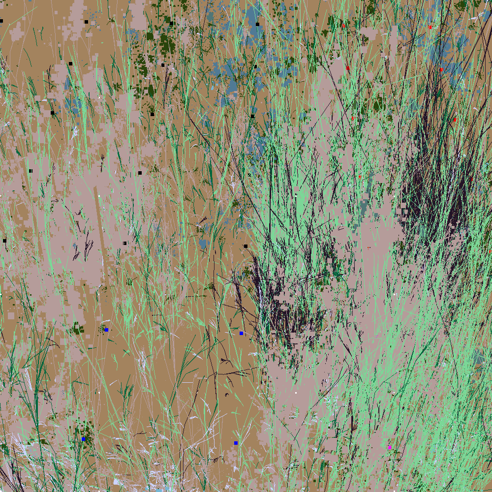 Infinite Garden: 40812 Flowers