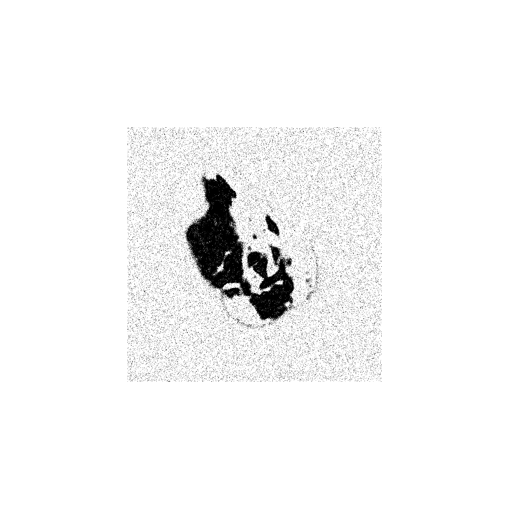 Fragment #28