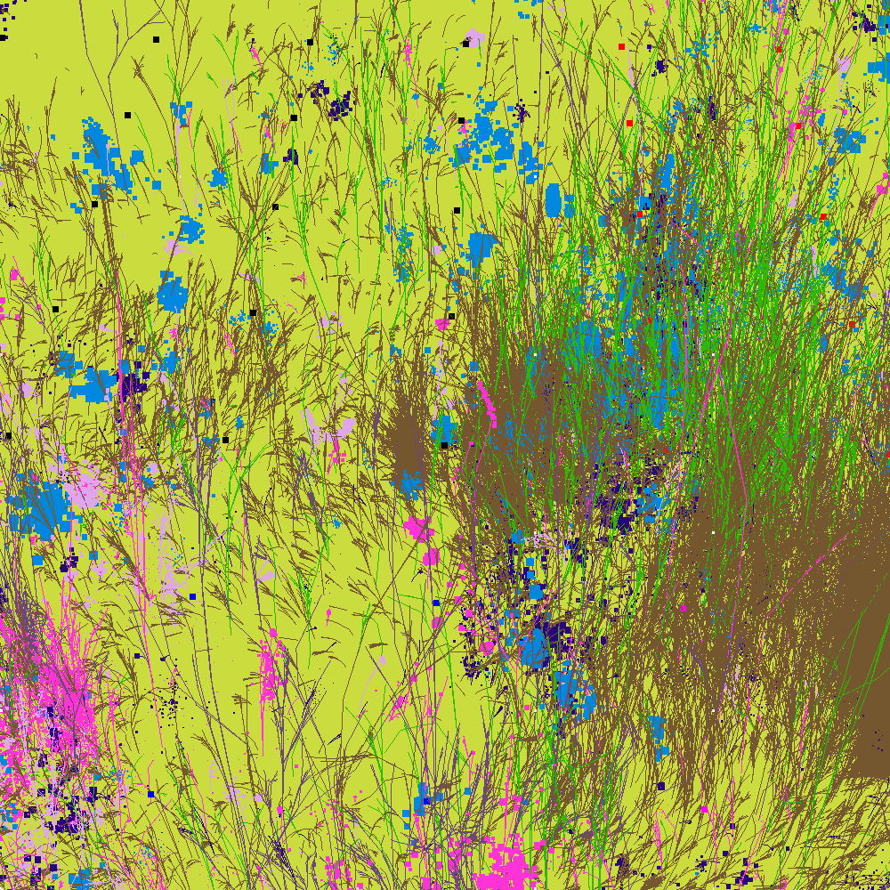 Infinite Garden: 32350 Flowers