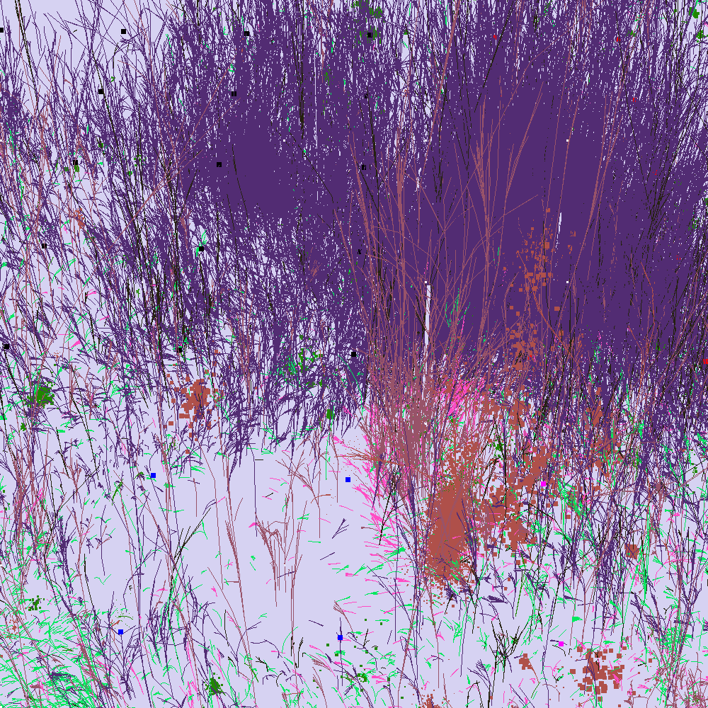 Infinite Garden: 68578 Flowers