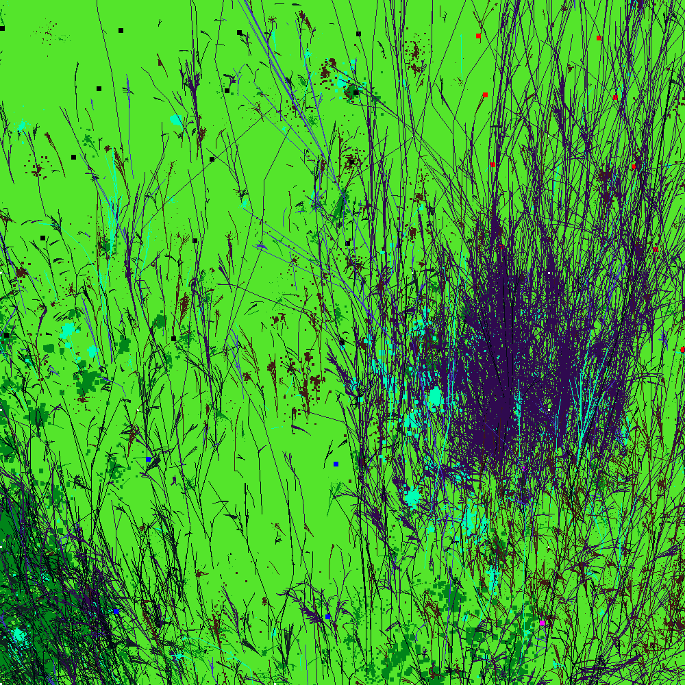 Infinite Garden: 19601 Flowers