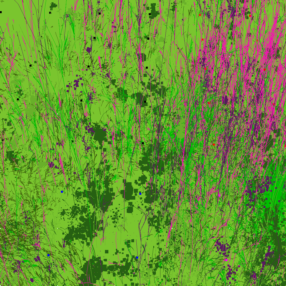 Infinite Garden: 53508 Flowers