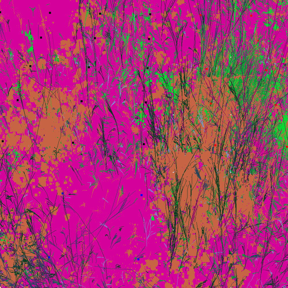 Infinite Garden: 44690 Flowers
