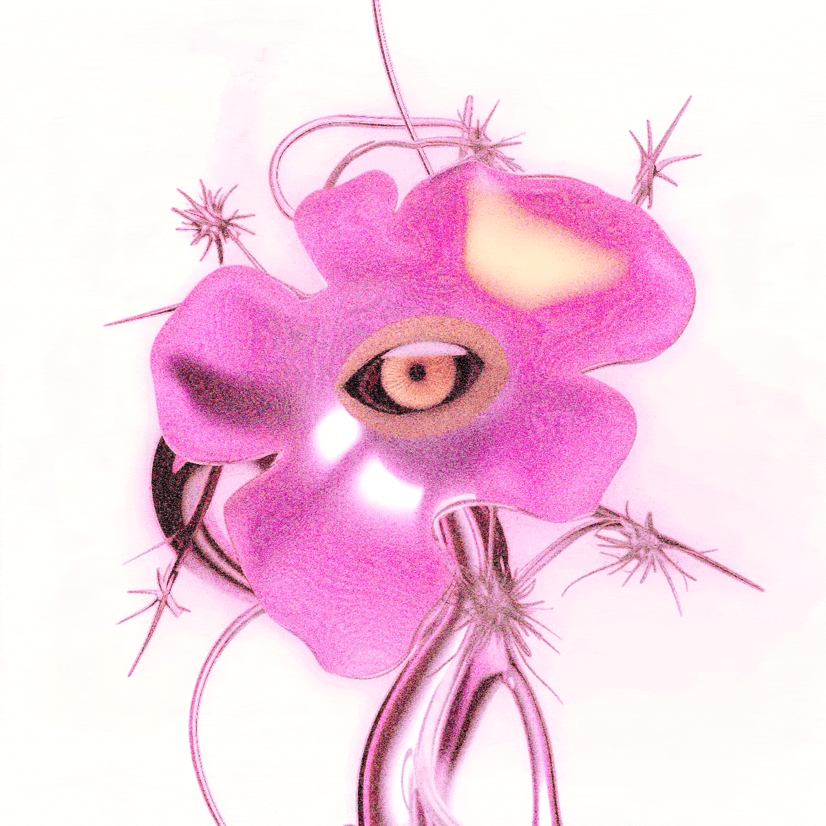 forget me not today