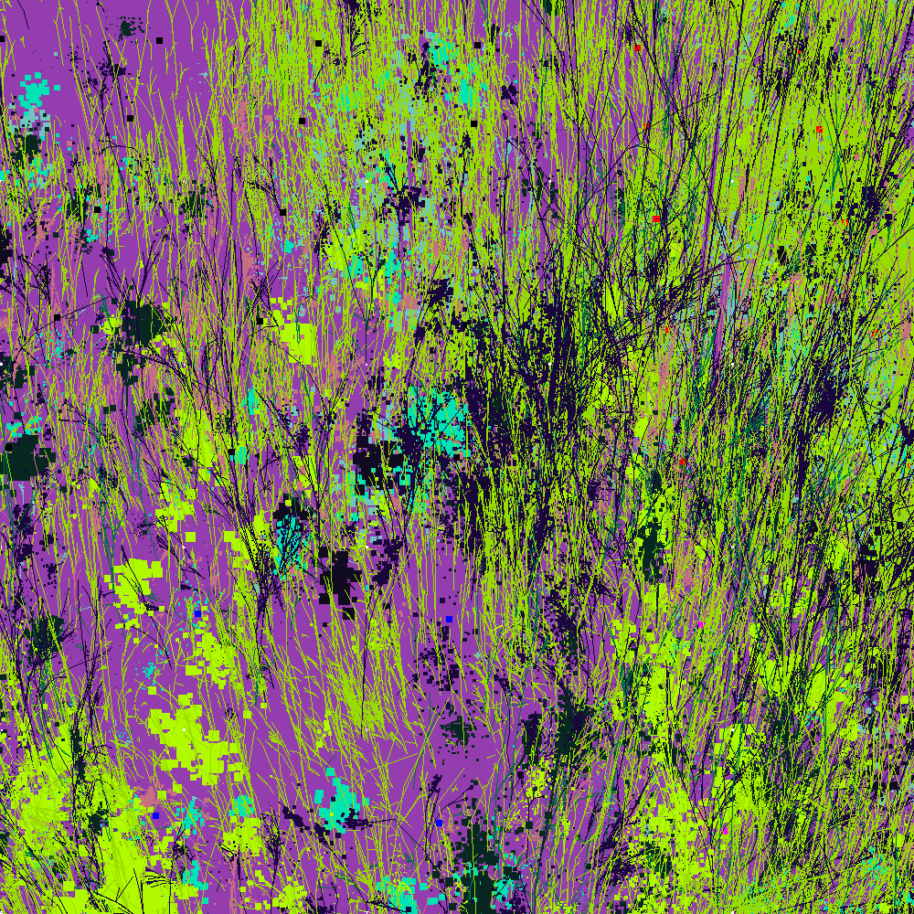 Infinite Garden: 101507 Flowers