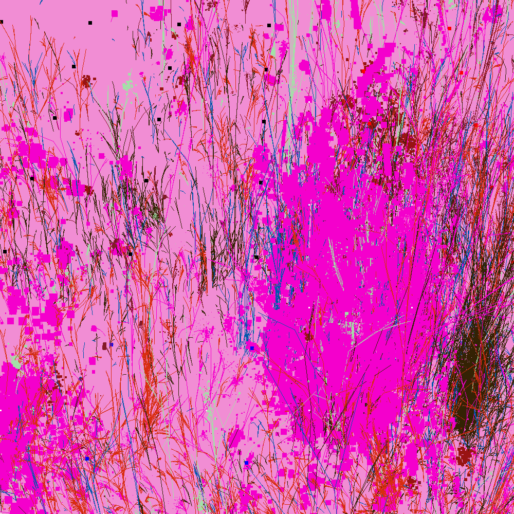 Infinite Garden: 27495 Flowers