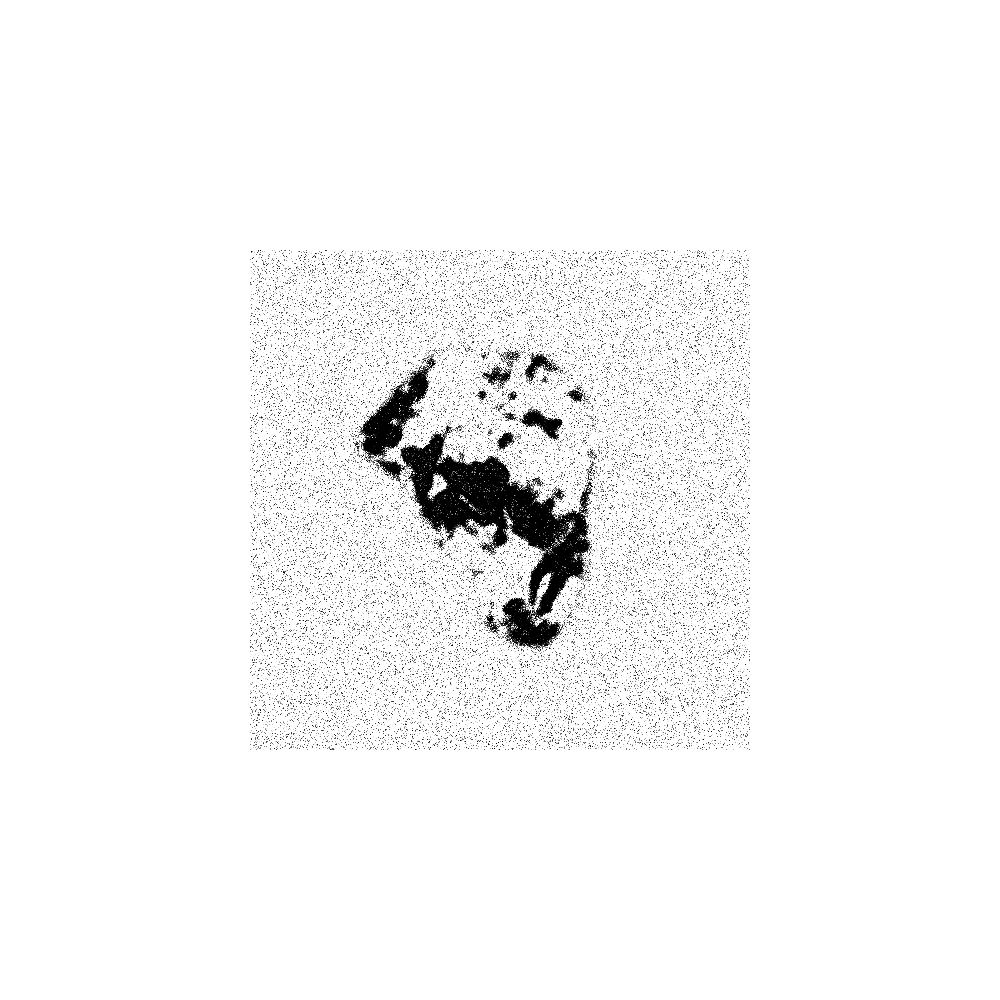 Fragment #17