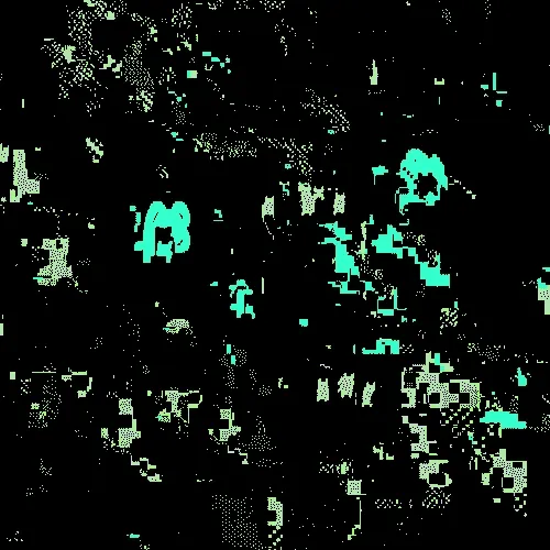 BOT ROT