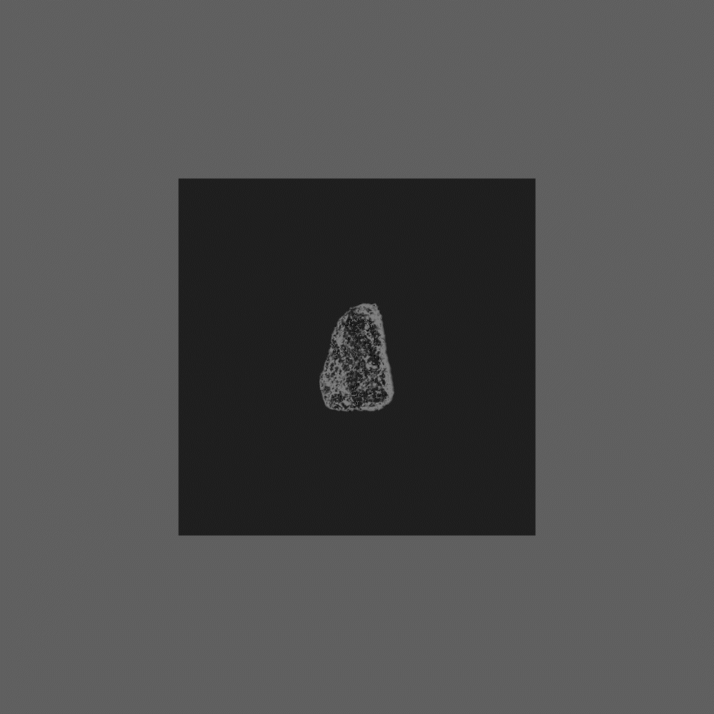 Fragment #5
