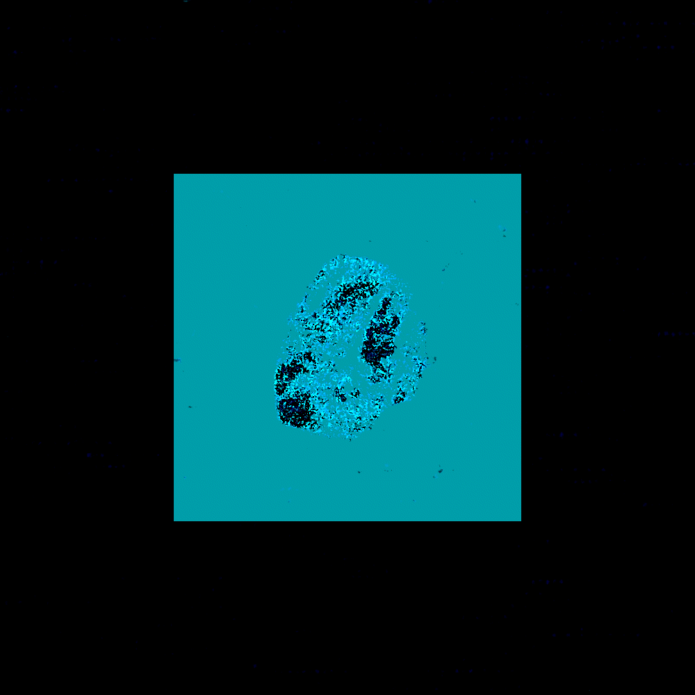 Fragment #103