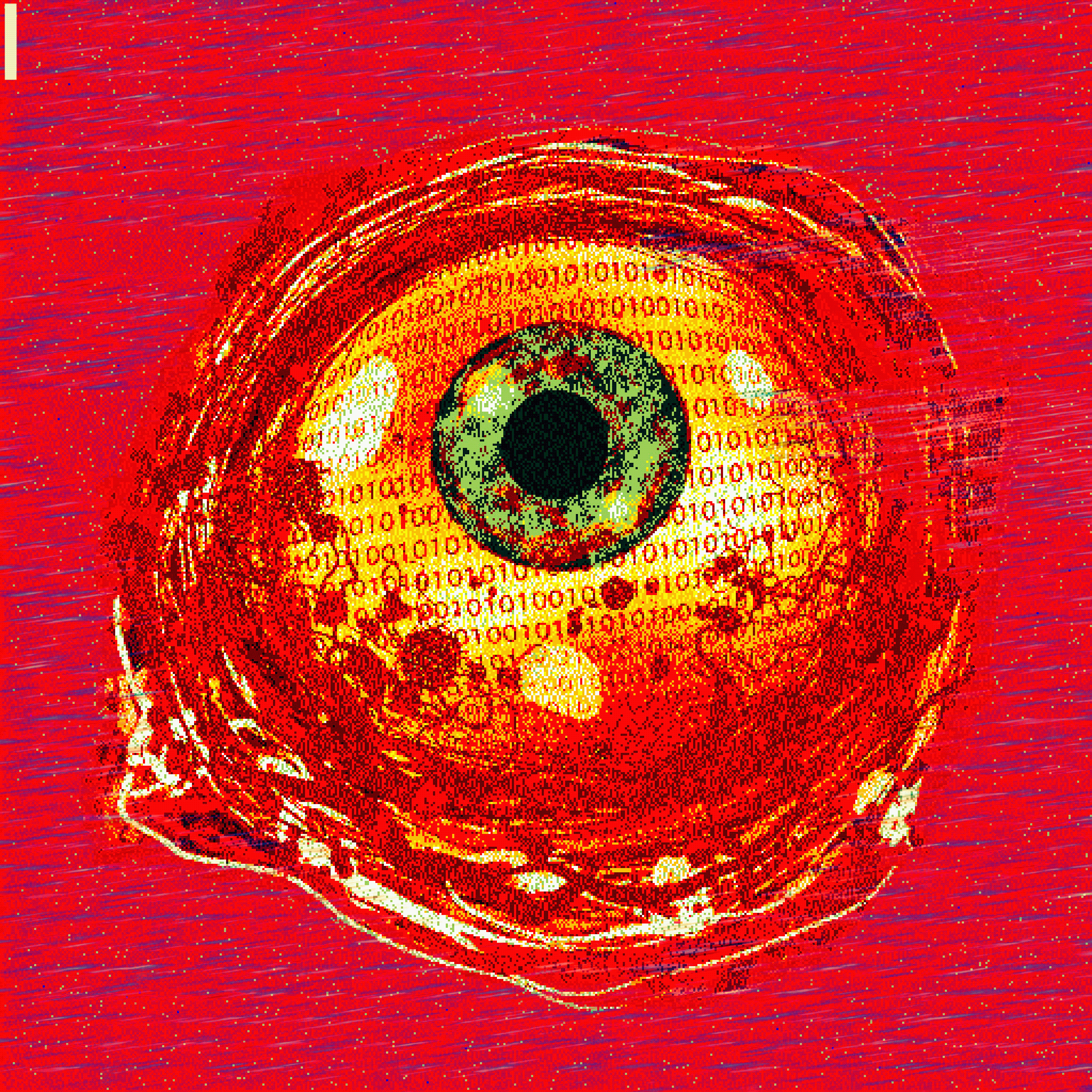 CHOROIDAL UPDATE