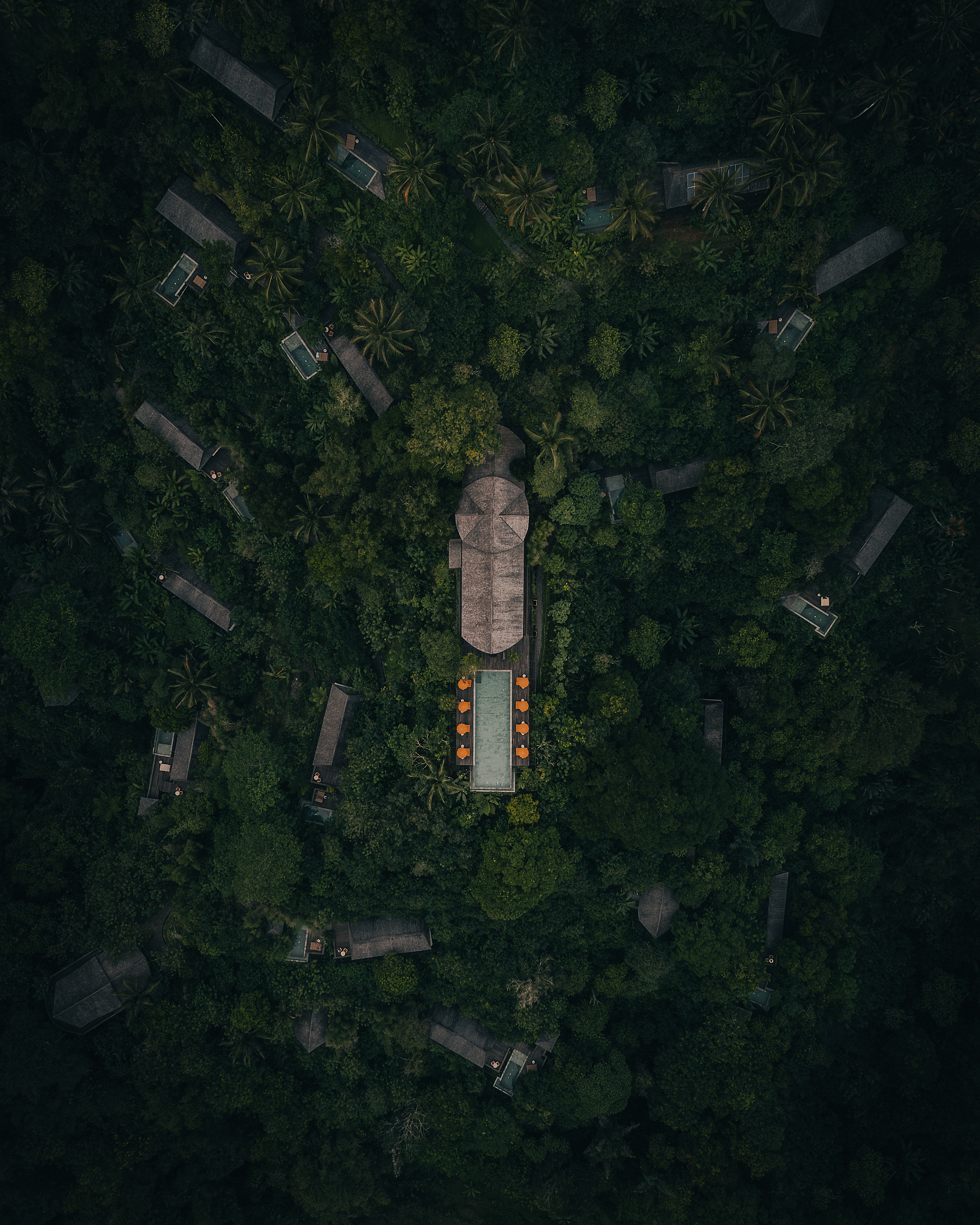 Sanctuary