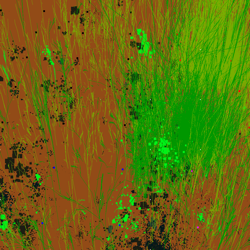 Infinite Garden: 35119 Flowers