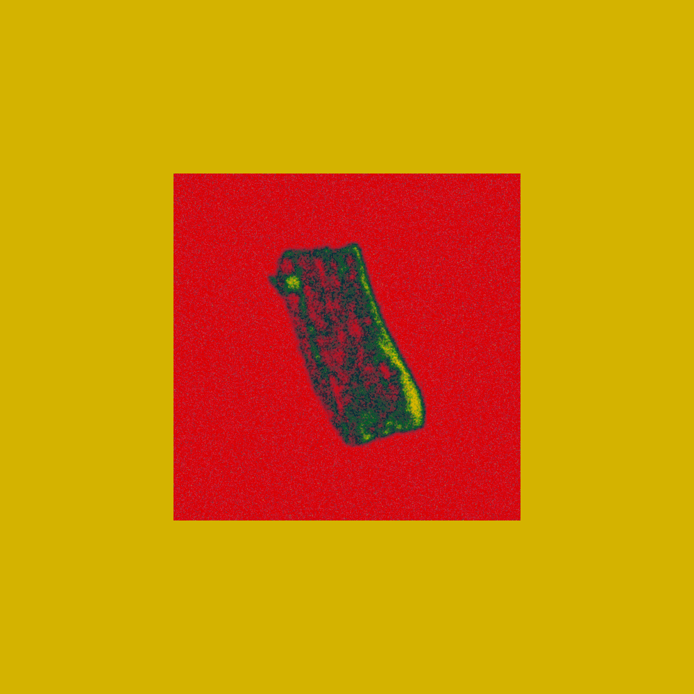Fragment #106