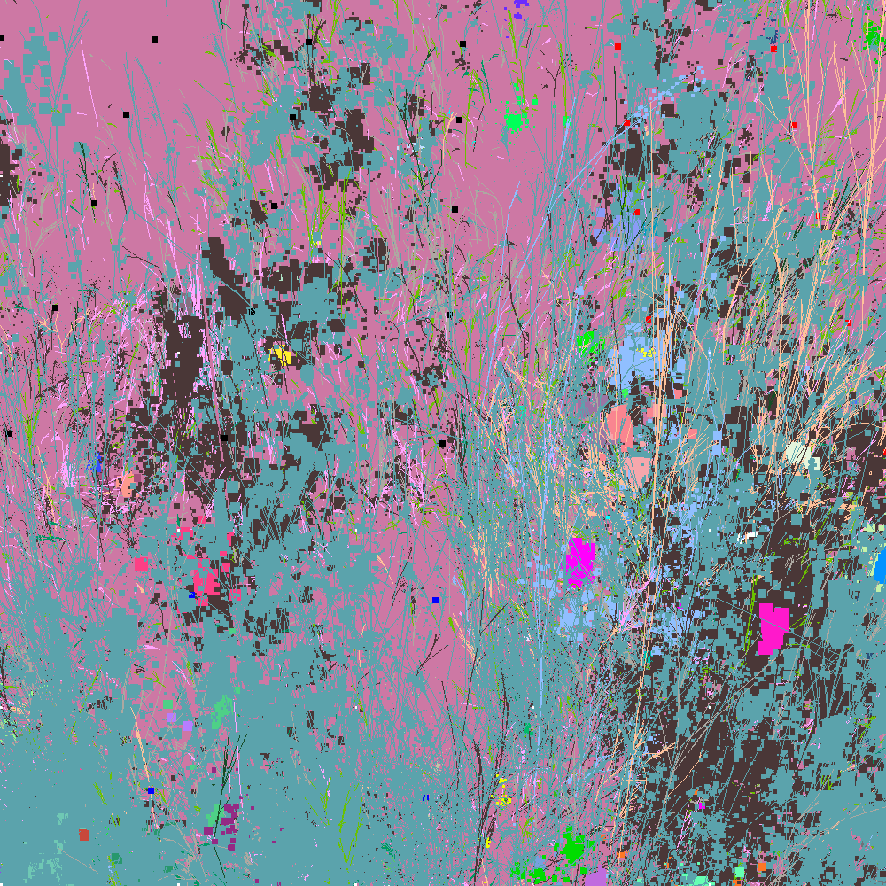 Infinite Garden: 72449 Flowers