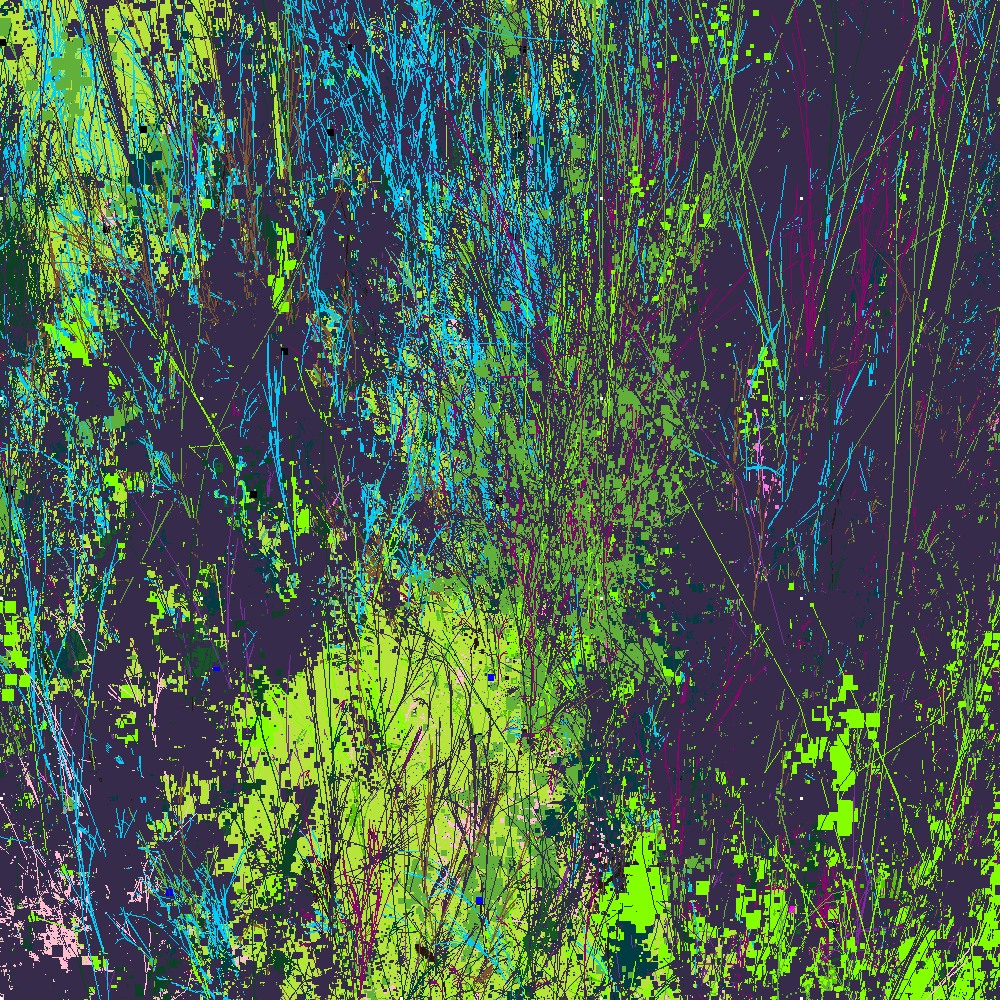 Infinite Garden: 79323 Flowers