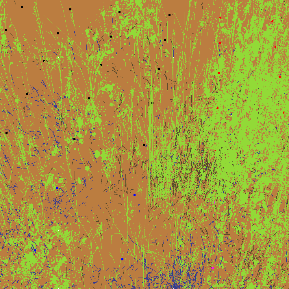 Infinite Garden: 20863 Flowers