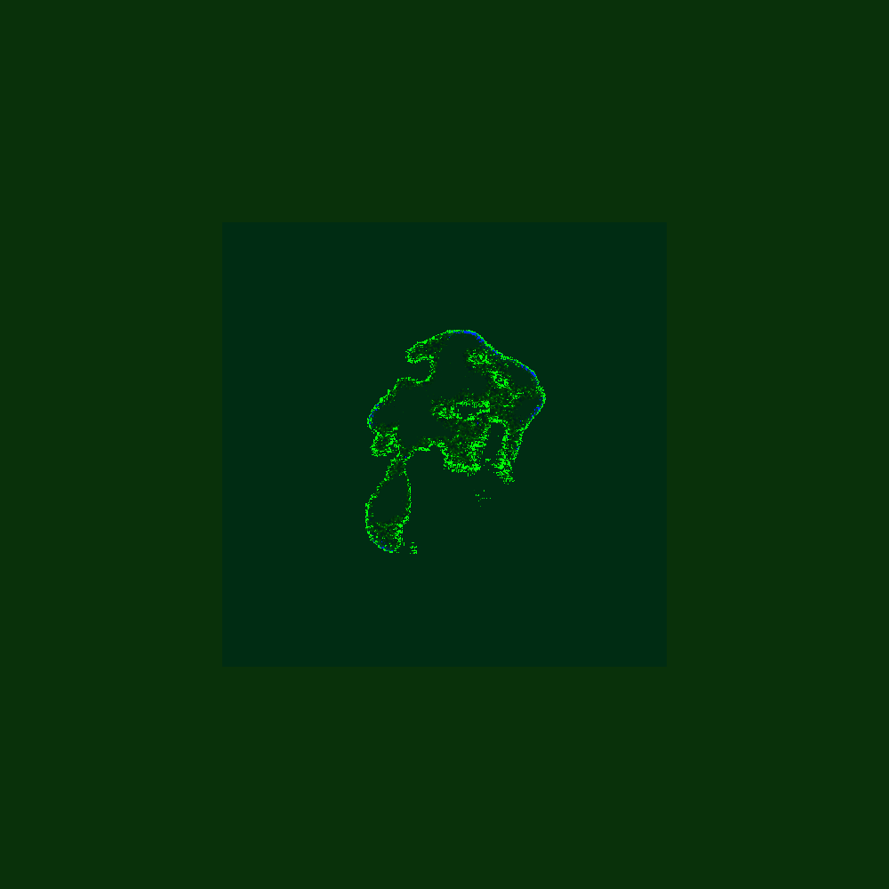 Fragment #219