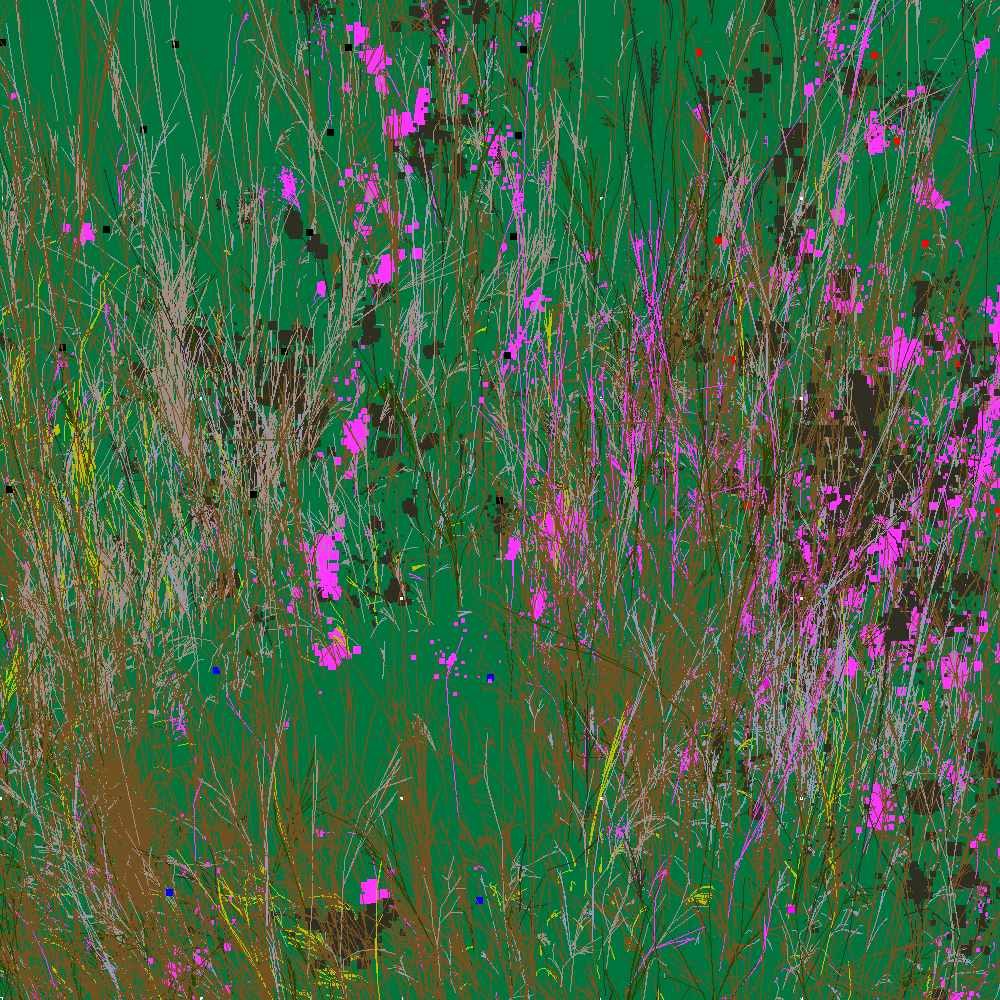 Infinite Garden: 37789 Flowers
