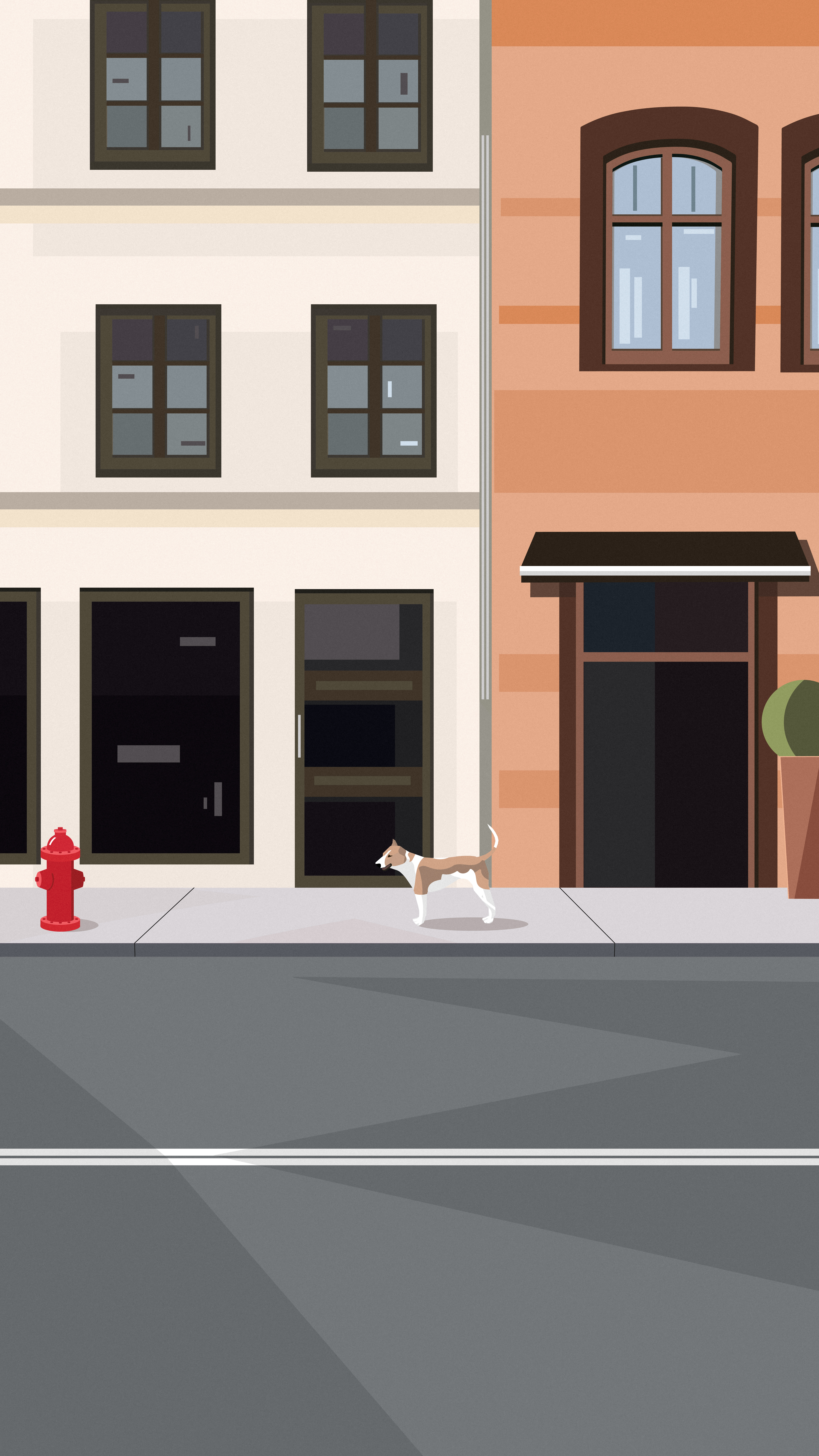 The Morning Stroll