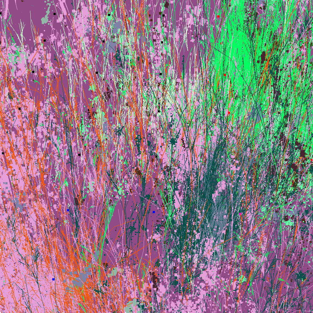 Infinite Garden: 60114 Flowers