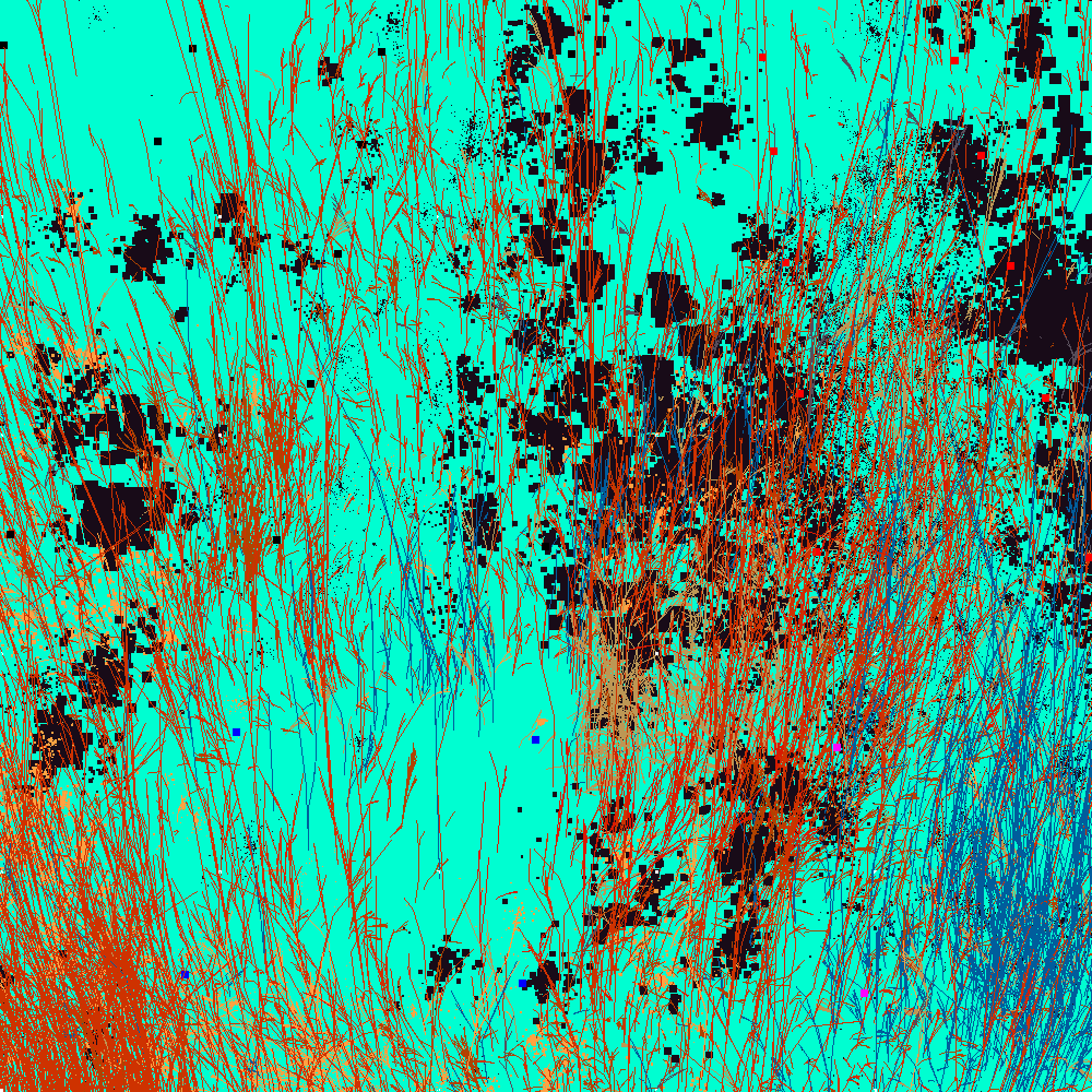 Infinite Garden: 43821 Flowers