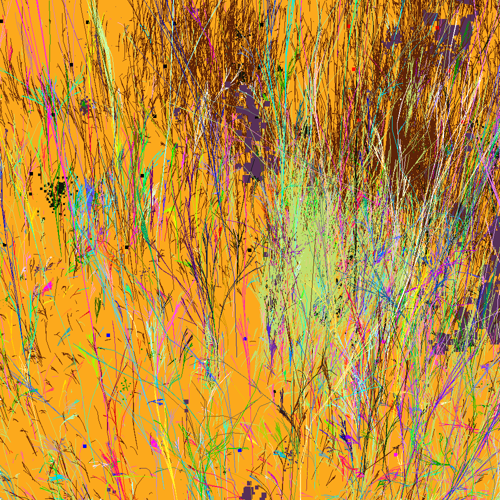 Infinite Garden: 36881 Flowers