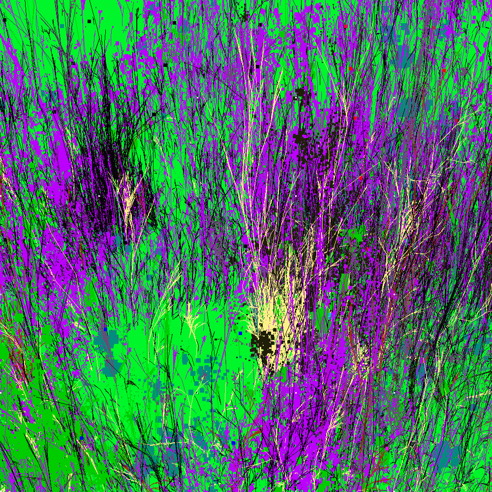 Infinite Garden: 58853 Flowers