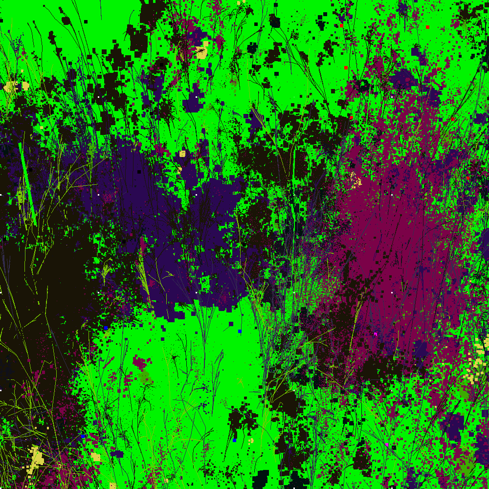 Infinite Garden: 21364 Flowers