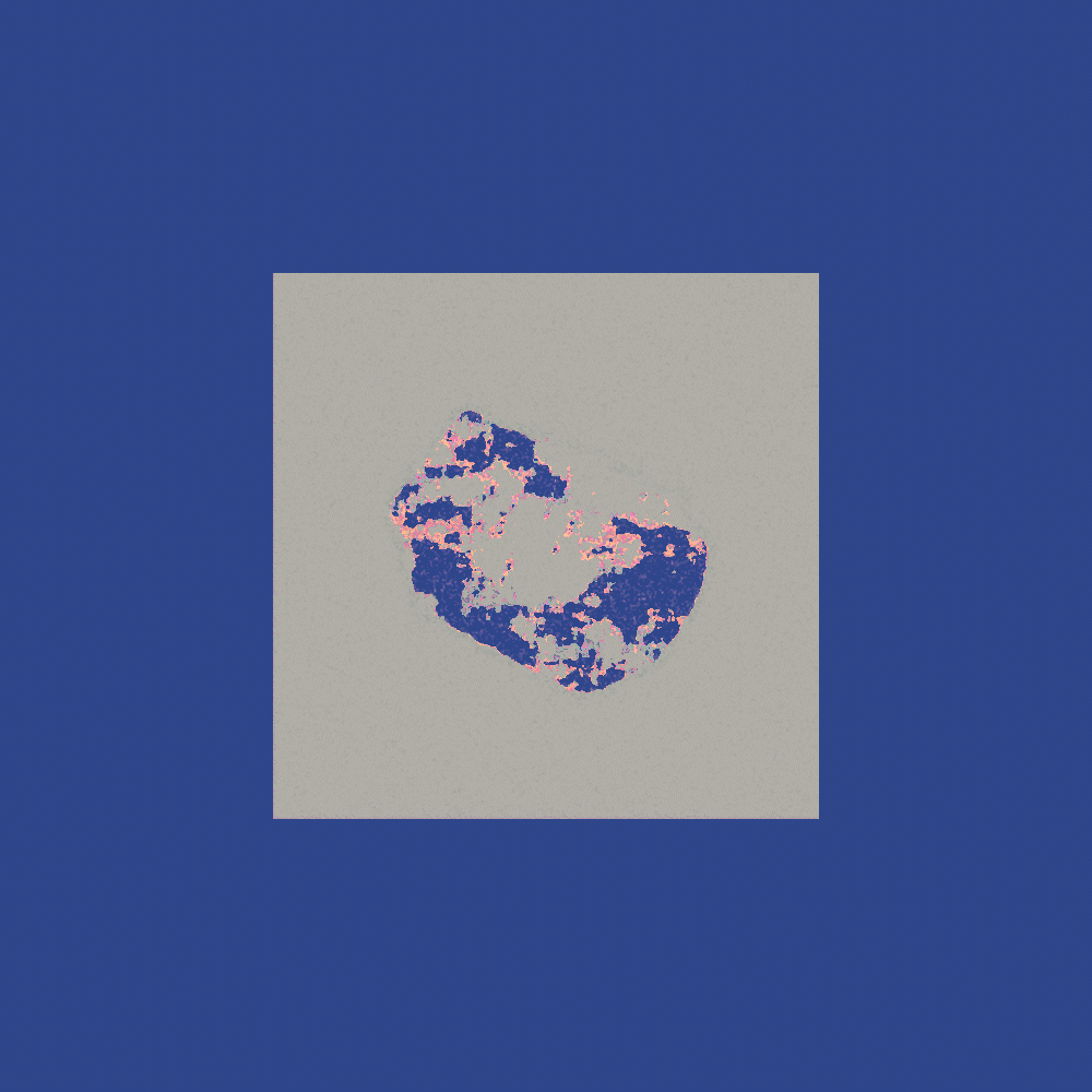 Fragment #234
