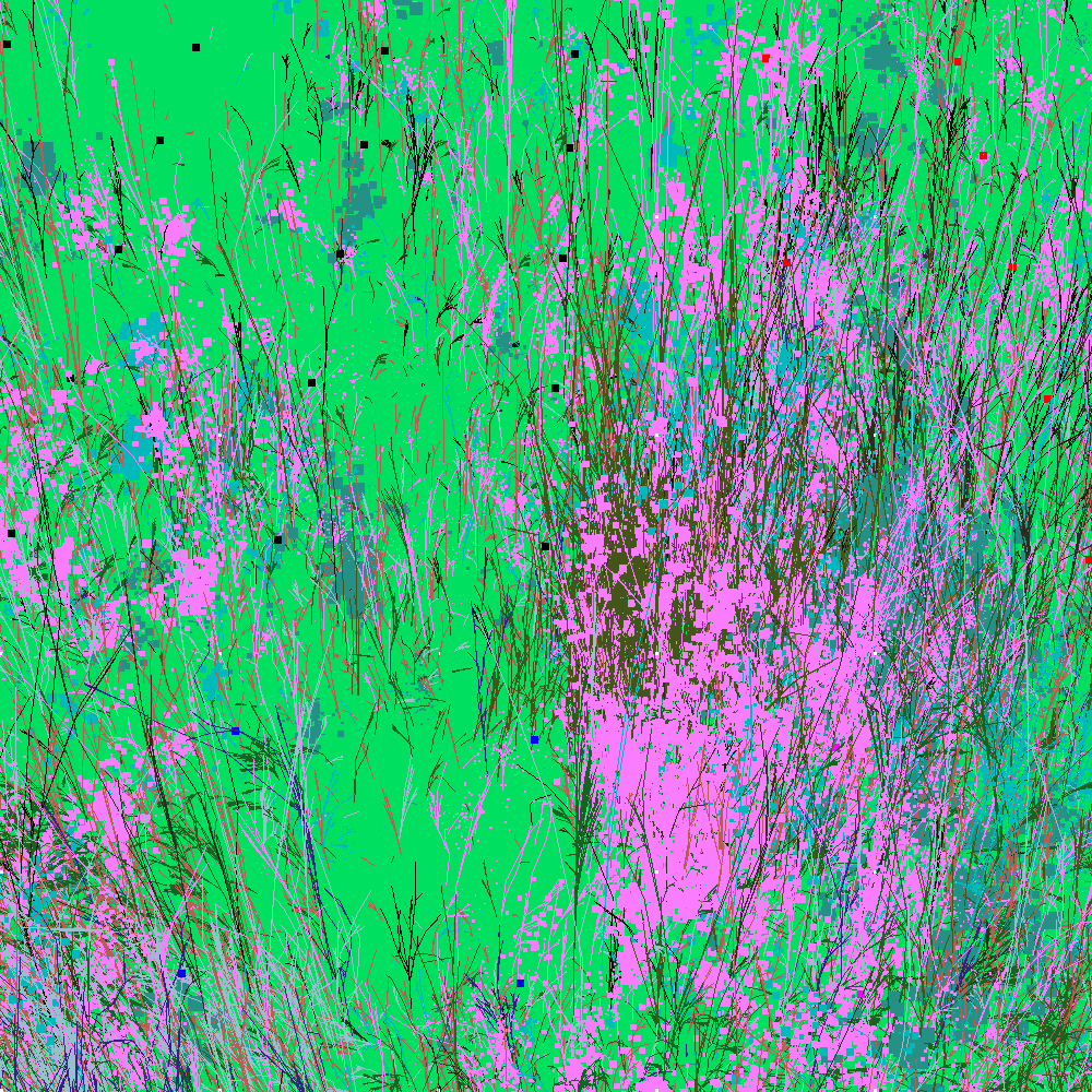 Infinite Garden: 54145 Flowers