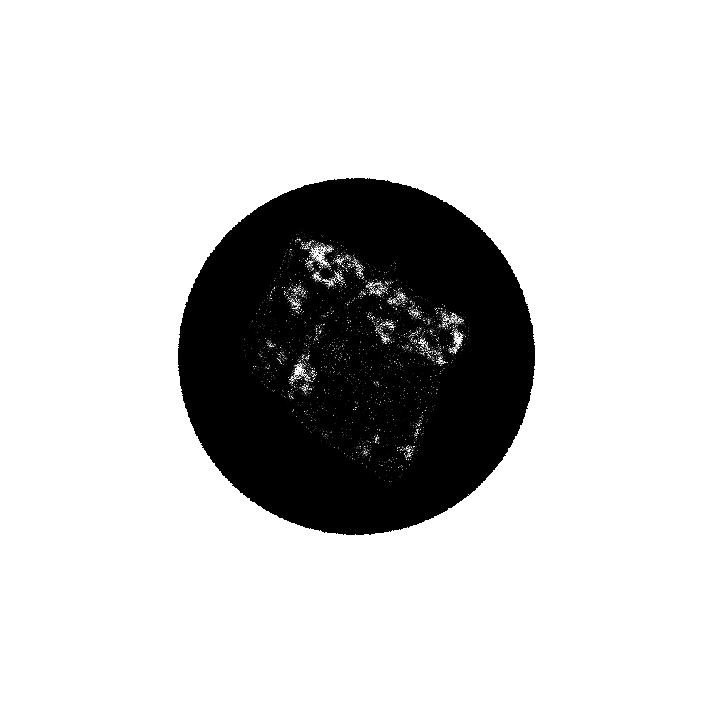 Fragment #20