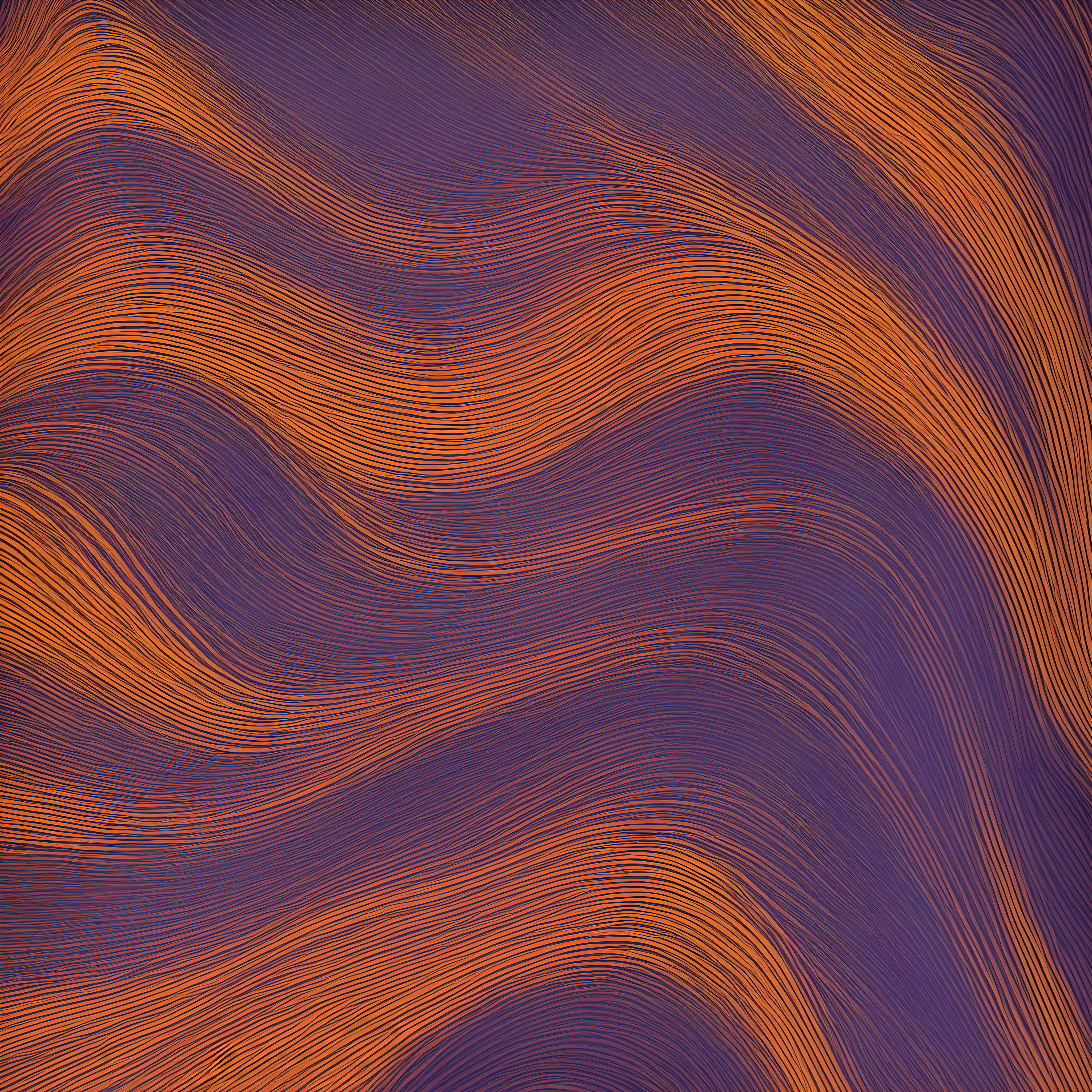 Day 56