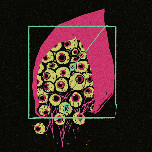 data_lords