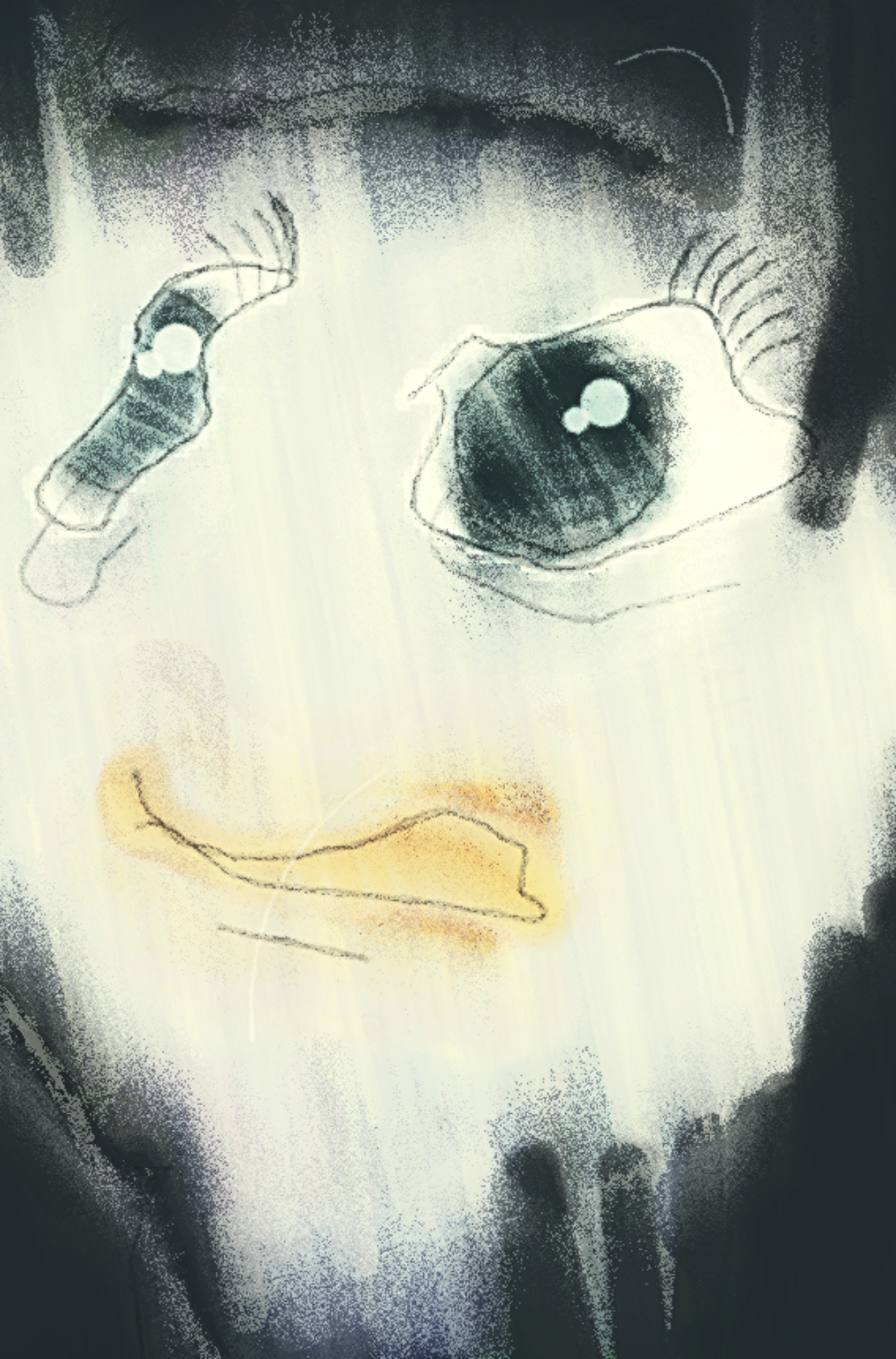 #116