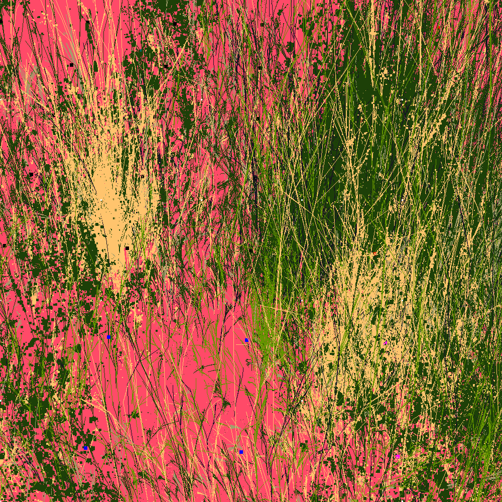 Infinite Garden: 41144 Flowers