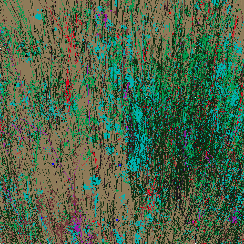 Infinite Garden: 97381 Flowers