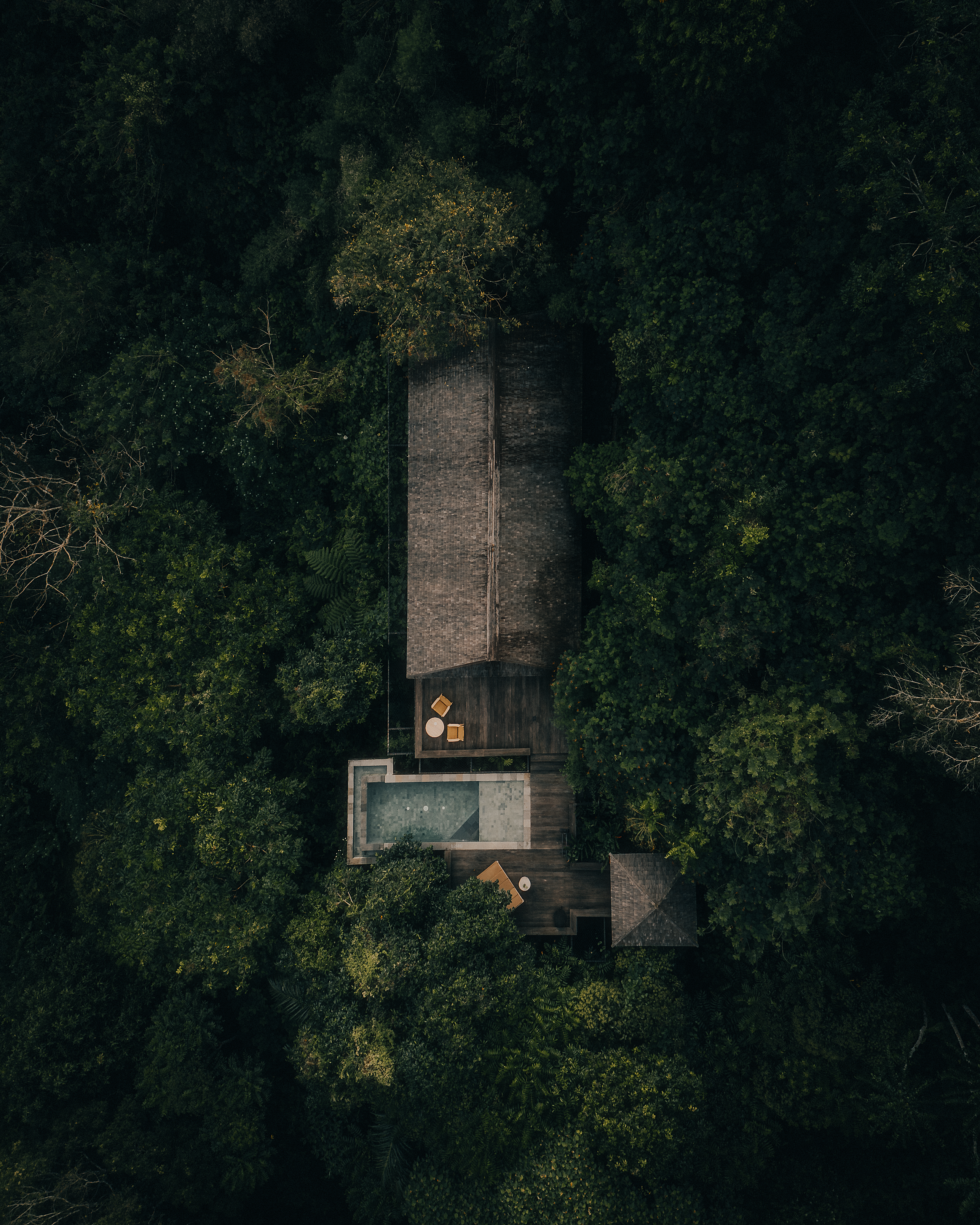 Elevation