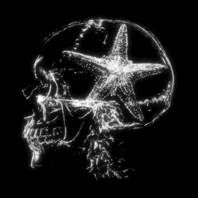 10/7 (Starfish) Designate 