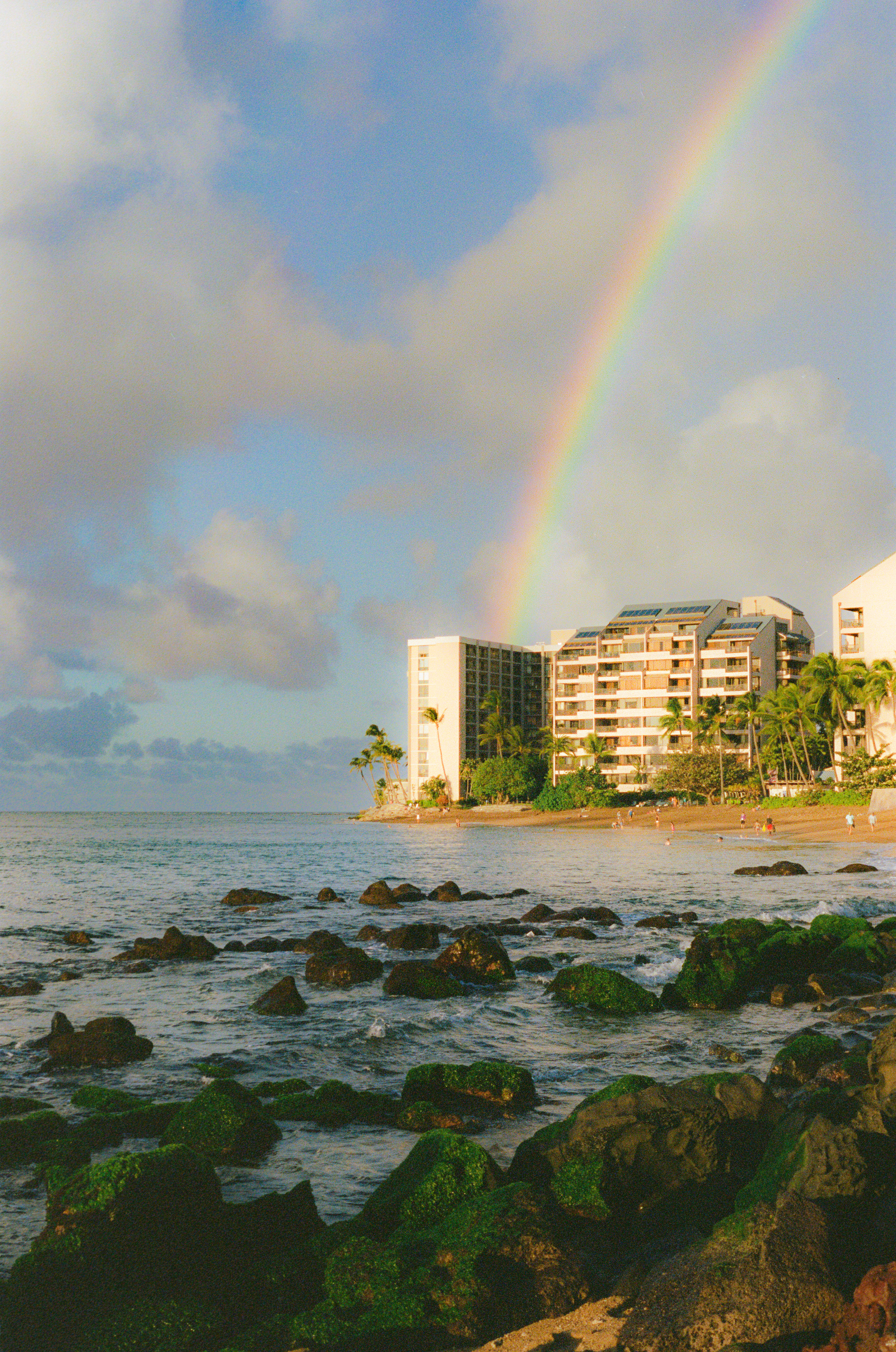 Hawaiian Dream